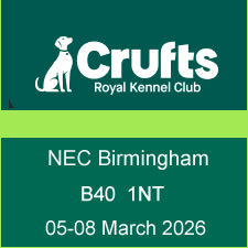 crufts 2026.jpg