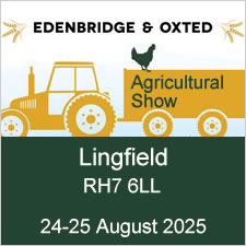 edenbridge 2025.jpg