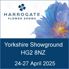 harrogate flower show 2025.jpg