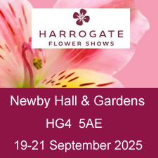 harrowgate flower show 2025.jpg