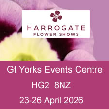 harrowgate flower show 2026.jpg
